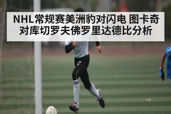 NHL常规赛美洲豹对闪电 图卡奇对库切罗夫佛罗里达德比分析