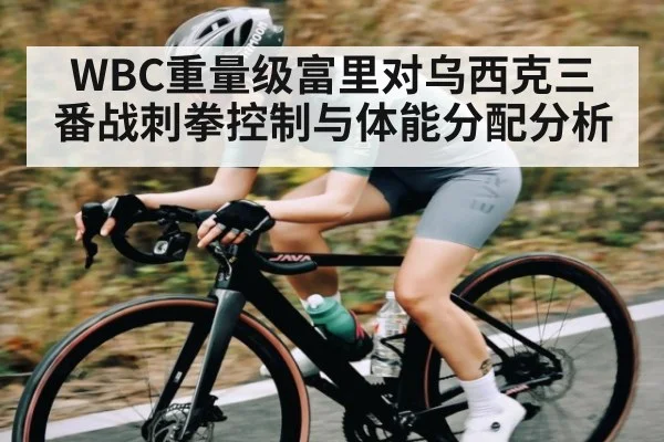WBC重量级富里对乌西克三番战刺拳控制与体能分配分析